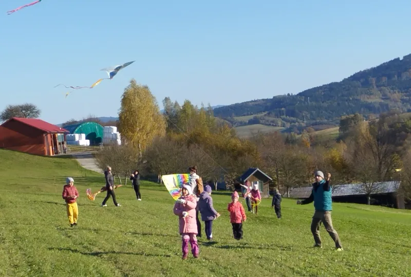 6d12b8d1e2b29c753a1d32722c228a10_jpeg