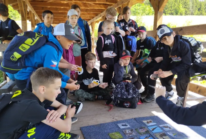 Poznávání živočichů podle hlasu