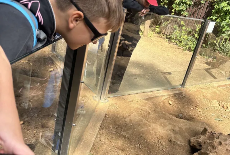 ZOO Hodonín