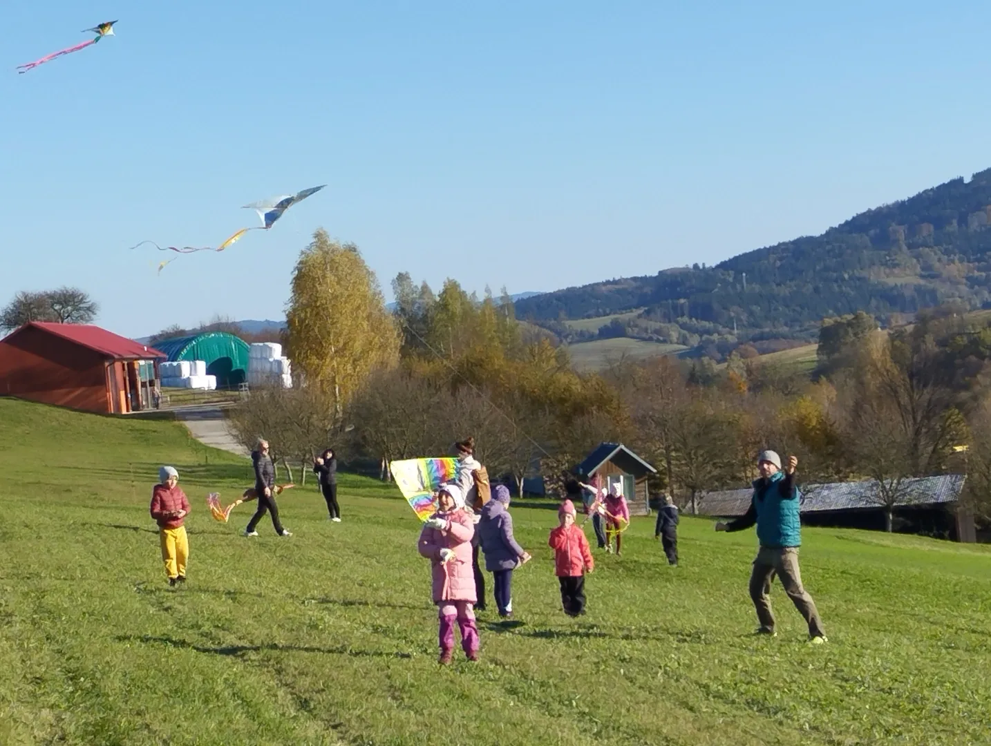 6d12b8d1e2b29c753a1d32722c228a10_jpeg